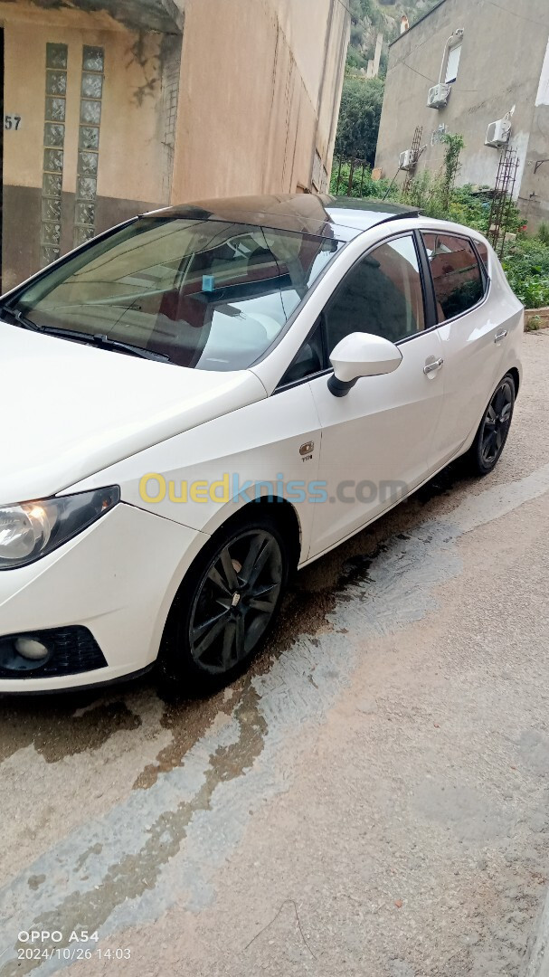 Seat Ibiza 2011 Loca