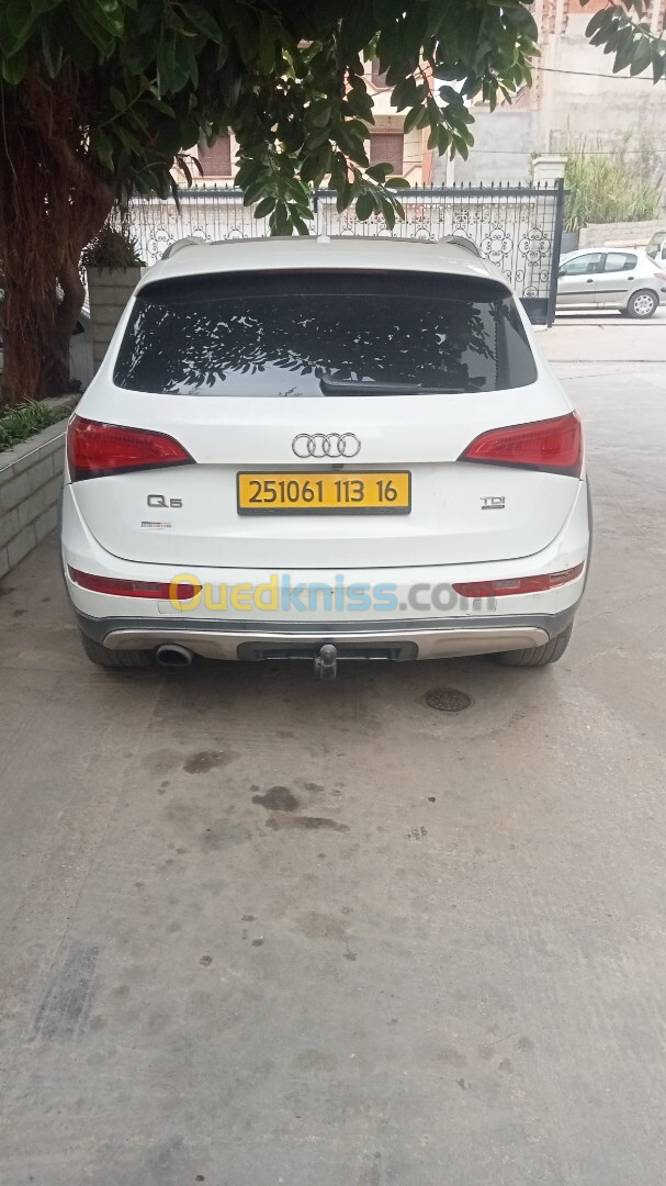 Audi Q5 2013 Off Road