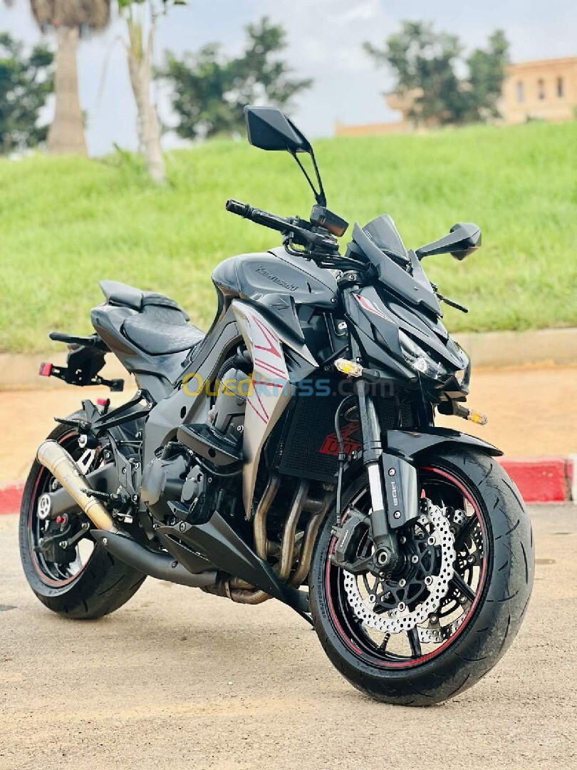 Kawasaki Z1000 2019