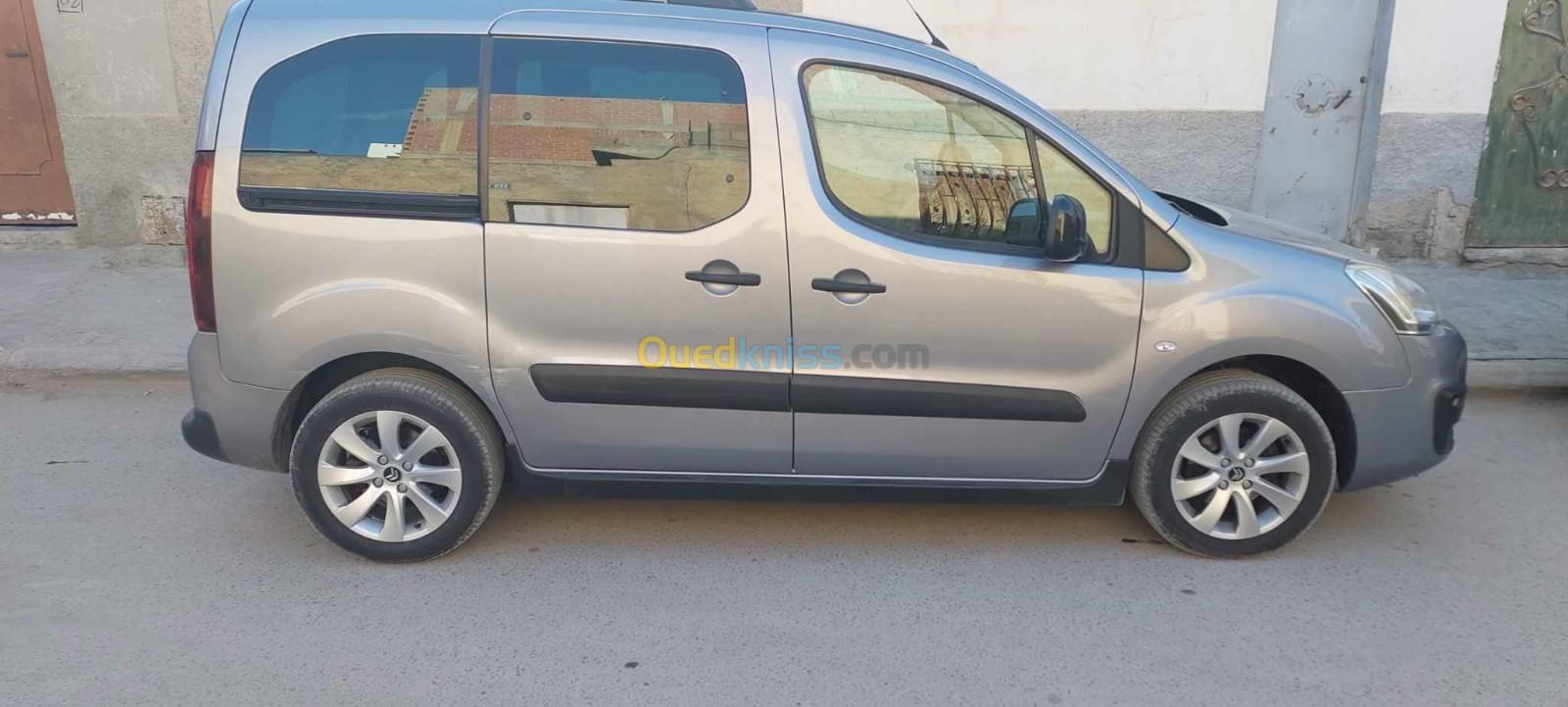 Citroen Berlingo 2017 Tolé niveau 1 châssis long