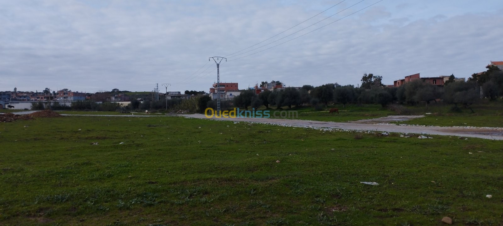 Vente Terrain Jijel Emir abdelkader