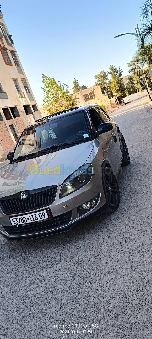 Skoda Fabia 2013 Monte carlo