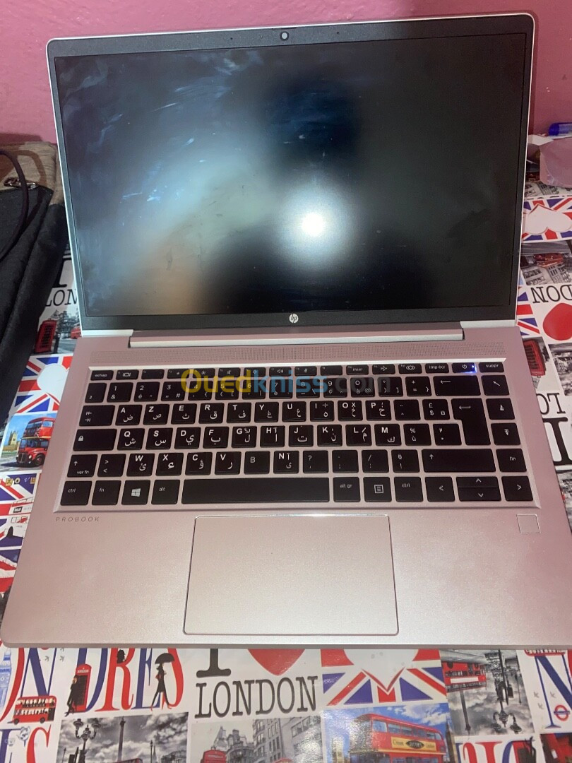 HP ProBook 445 G8