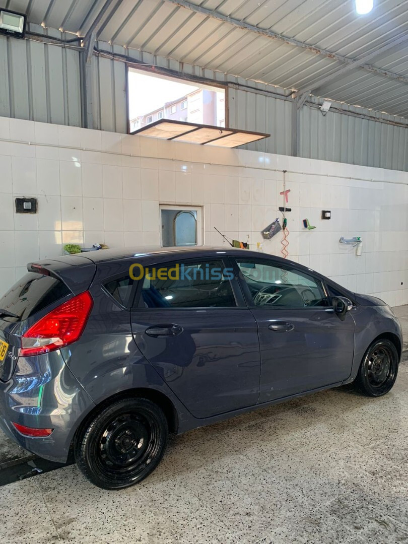 Ford Fiesta 2013 Fiesta