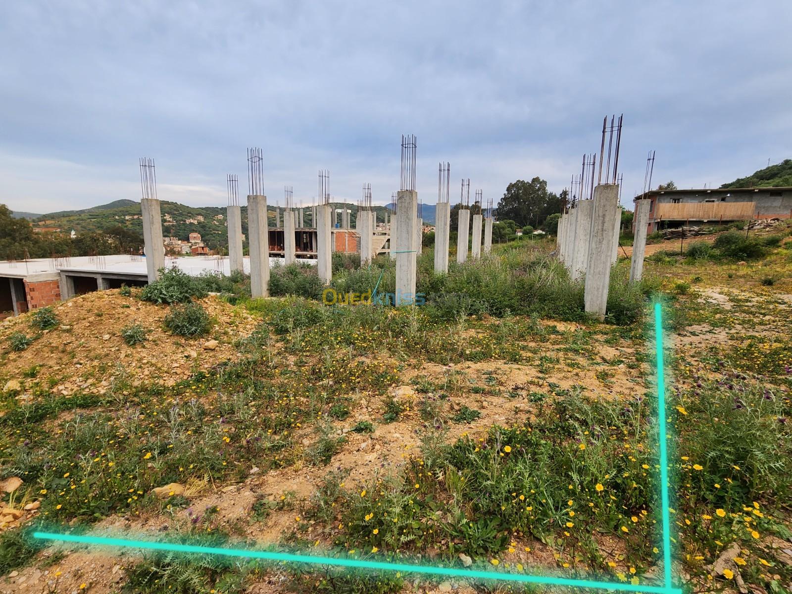 Vente Terrain Boumerdès Beni amrane