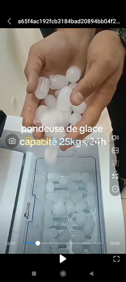 Pondeuse de glace capacité 25kgs par 24h