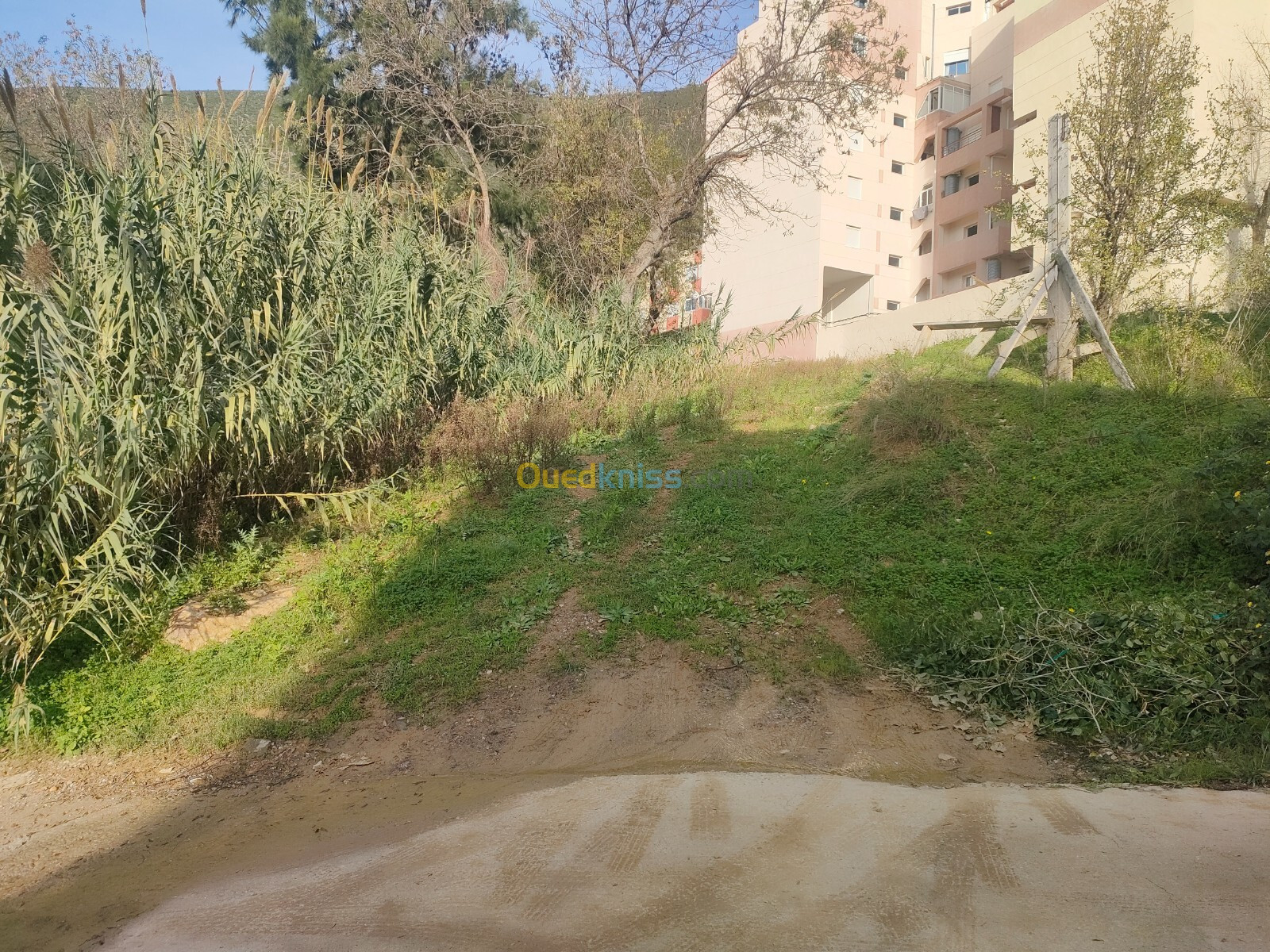 Vente Terrain Béjaïa Bejaia