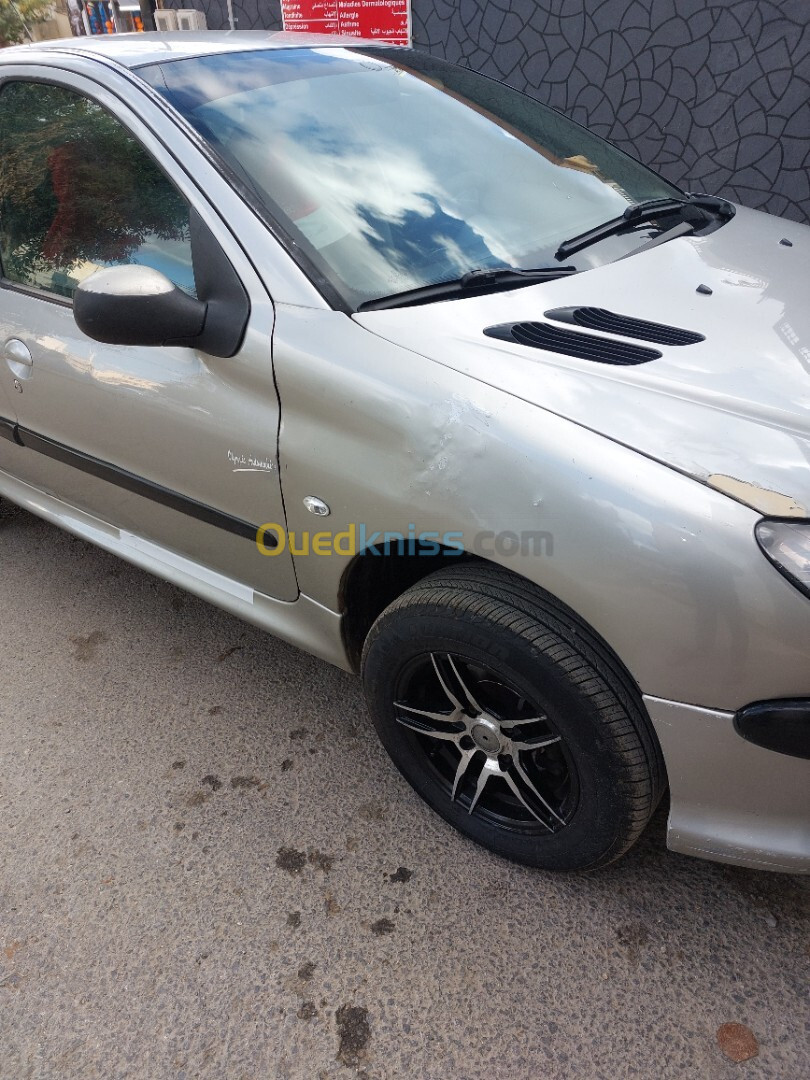 Peugeot 206 2008 206