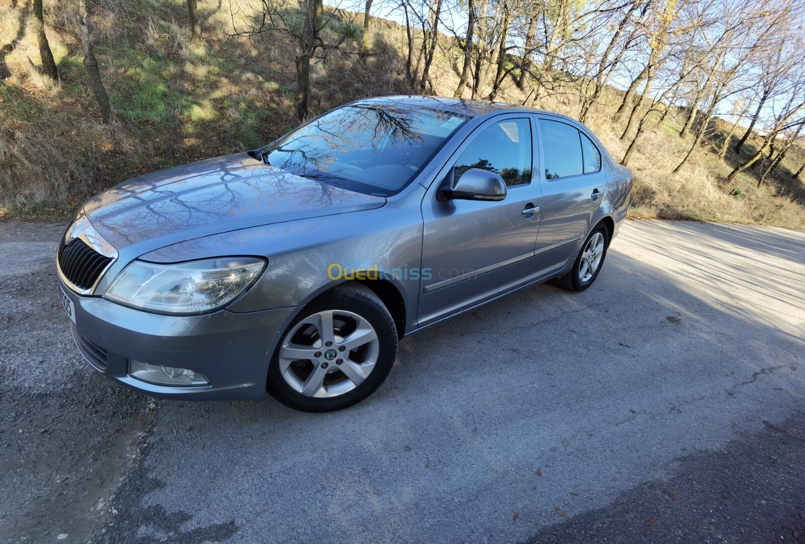 Skoda Octavia 2012 Ambiente