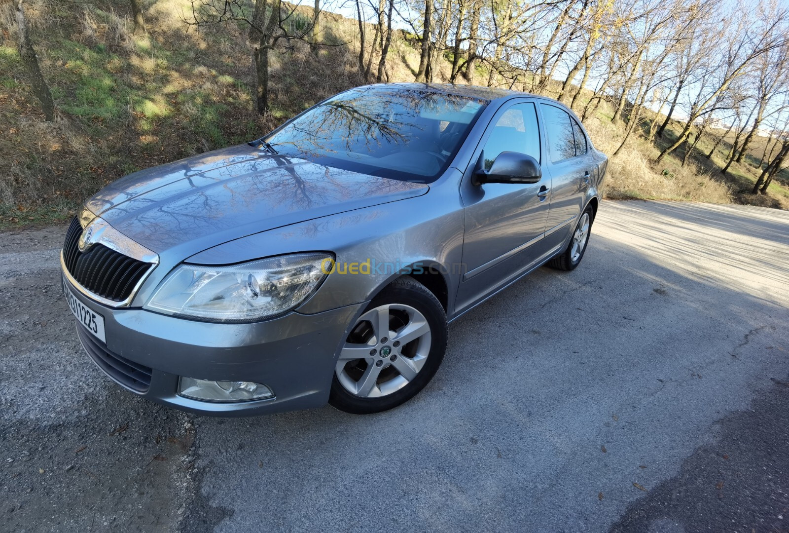 Skoda Octavia 2012 Ambiente