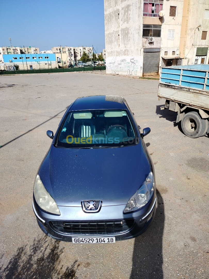 Peugeot 407 2004 407