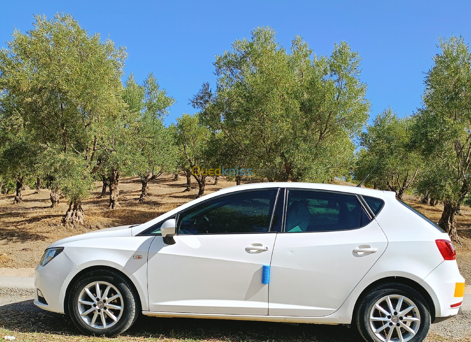 Seat Ibiza 2013 Fully