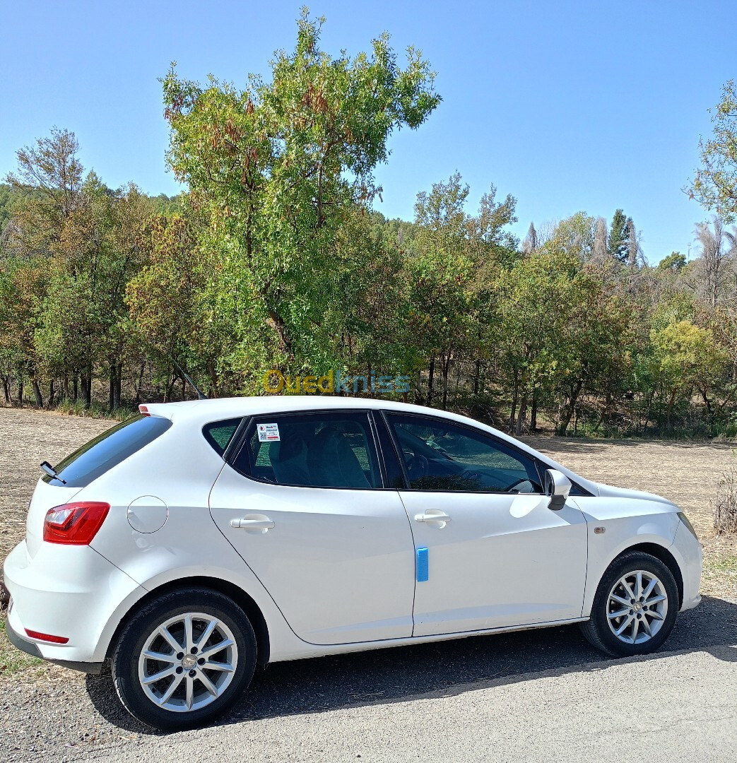 Seat Ibiza 2013 Fully