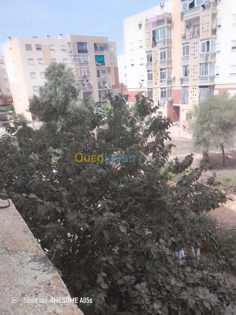 Vente Appartement F3 Alger Birtouta