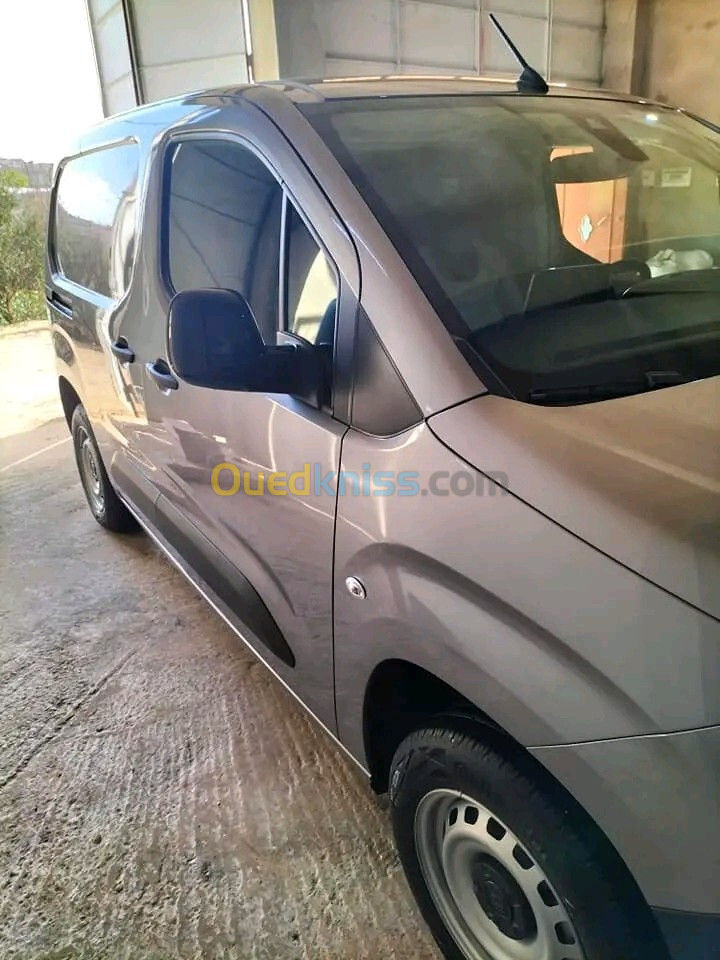 Fiat Doblo 2024 Professional