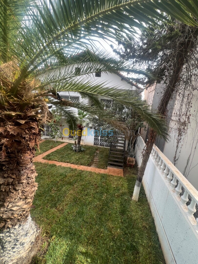 Vente Villa Alger El biar