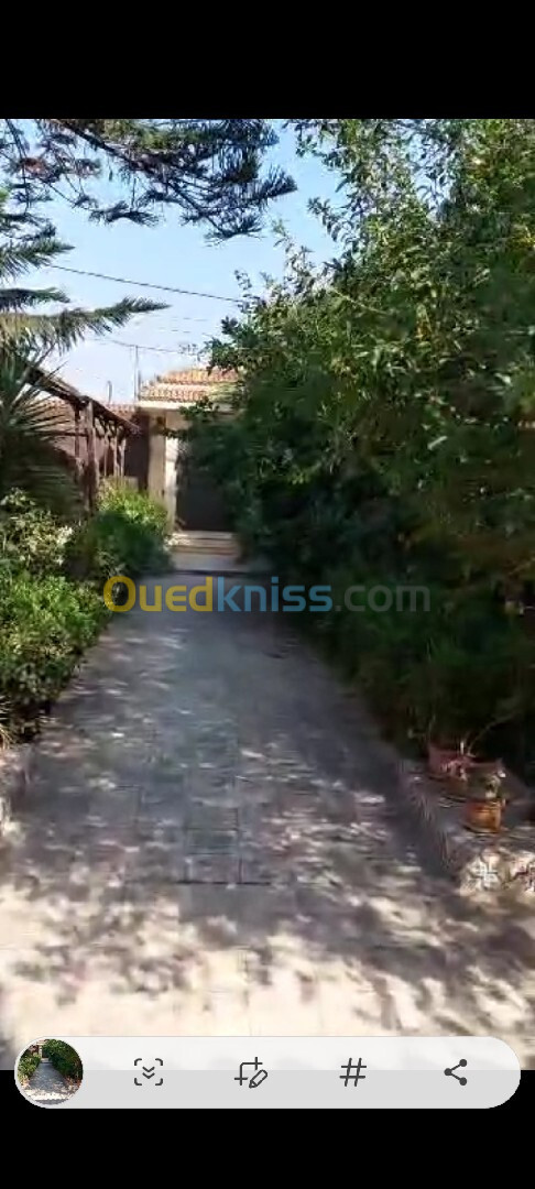 Vente Villa Alger Bordj el kiffan