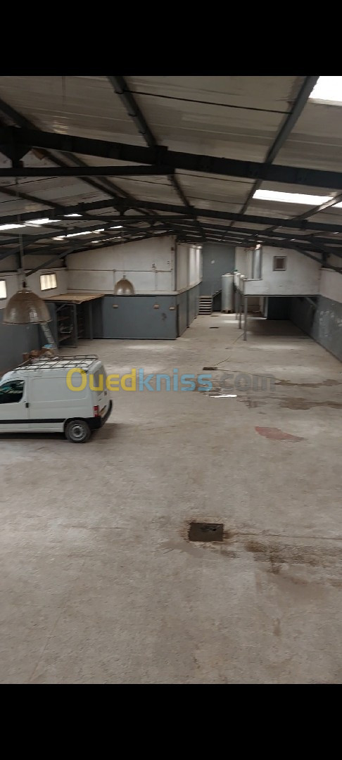 Location Hangar Alger Dar el beida