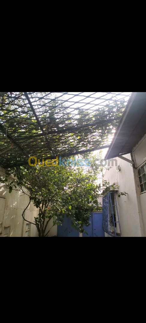 Location Duplex F4 Alger Mohammadia