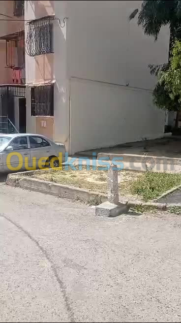 Vente Appartement F3 Alger Ain naadja