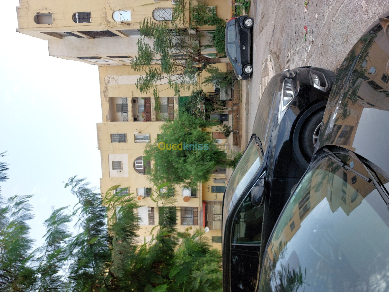 Location Appartement F4 Alger Mohammadia