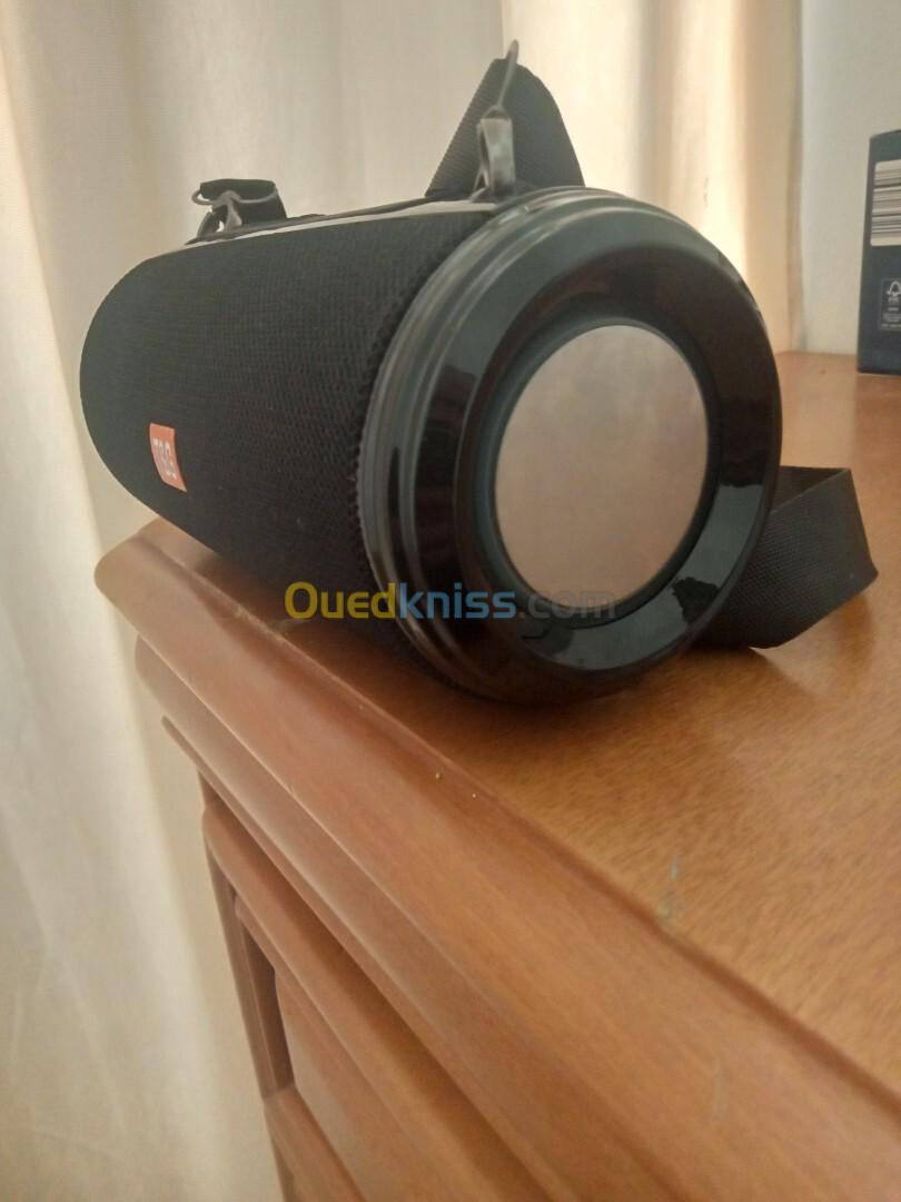 Enceinte bluetooth T&G