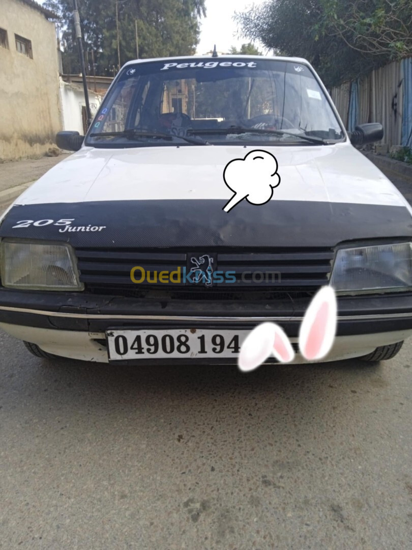 Peugeot 205 1994 205