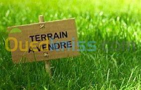 Vente Terrain Alger Belouizdad