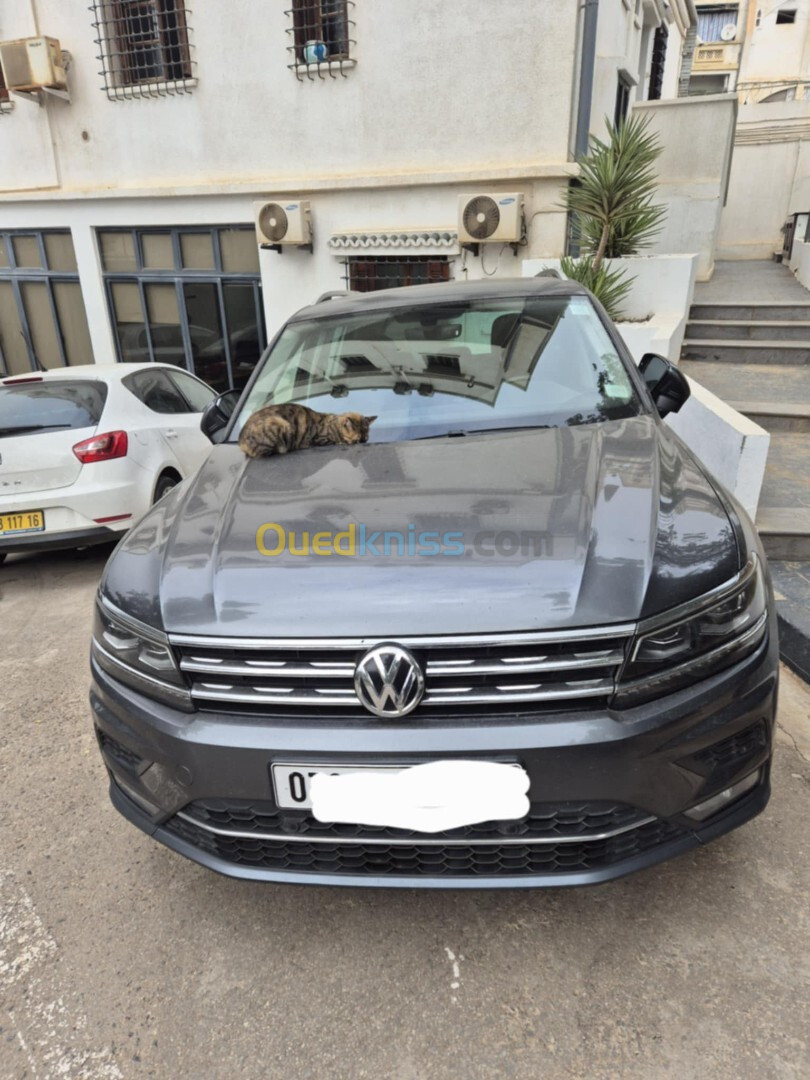 Volkswagen Tiguan 2019 Drive