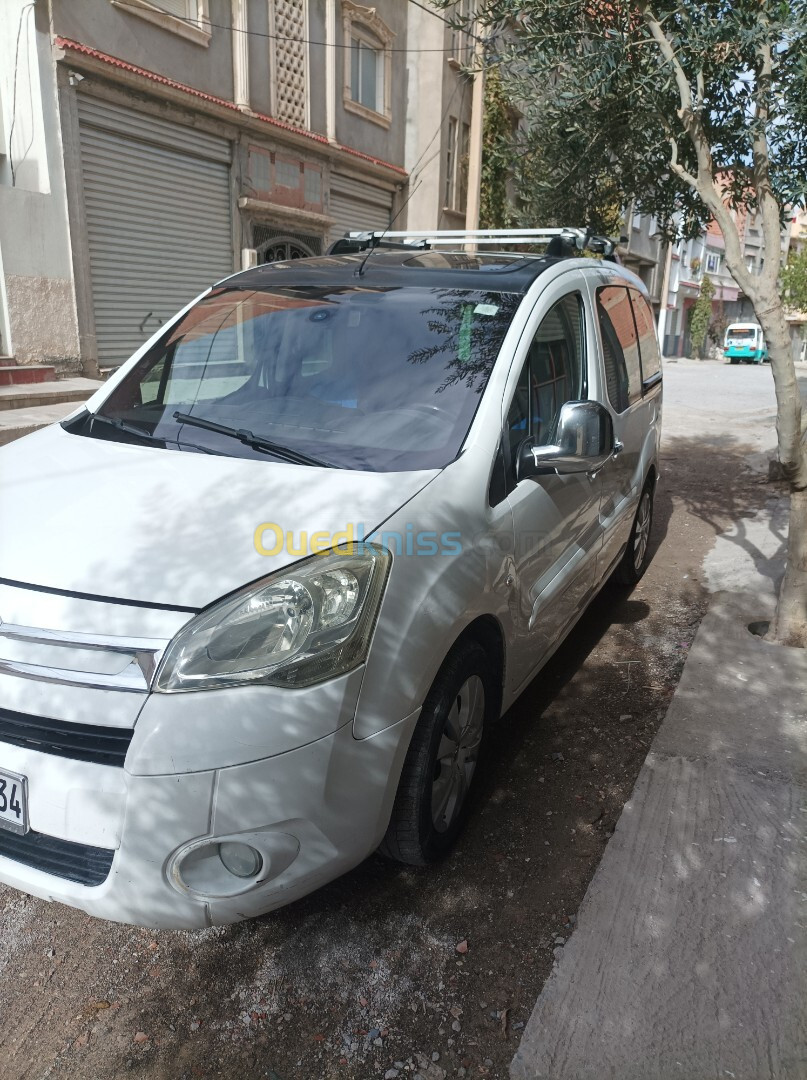 Citroen Berlingo 2011 Berlingo