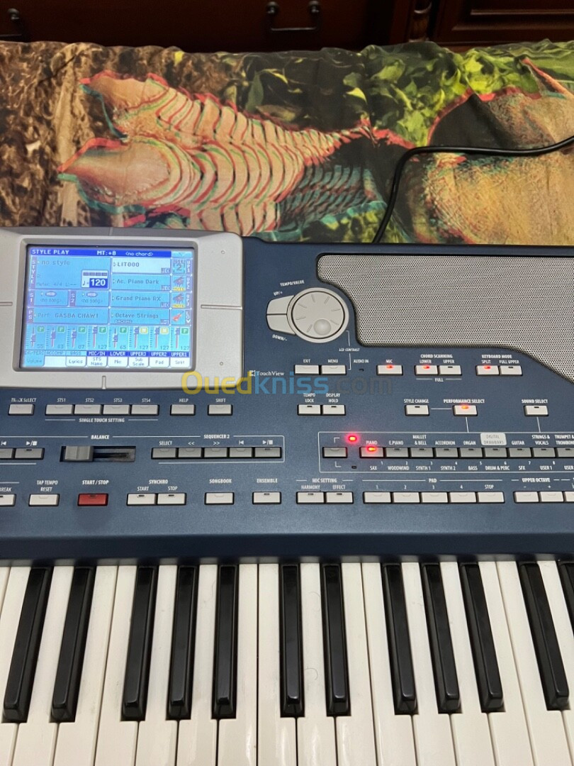 Korg pa 800