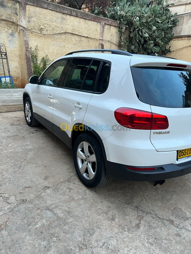 Volkswagen Tiguan 2013 Style