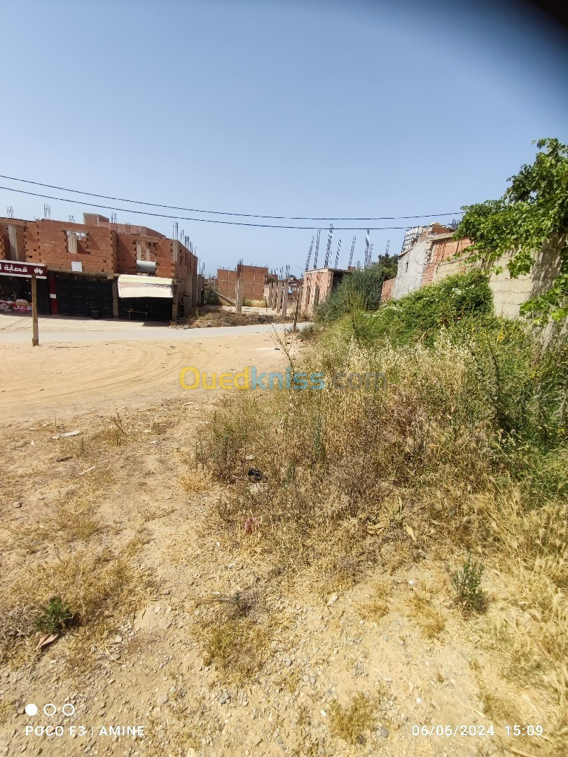 Vente Terrain Boumerdès El kharrouba