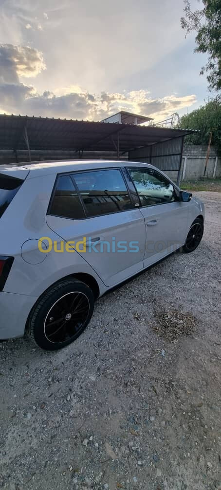 Skoda Fabia 2017 Monte Carlo