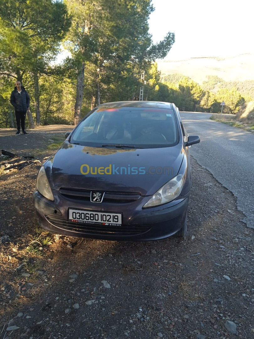 Peugeot 307 2002 307