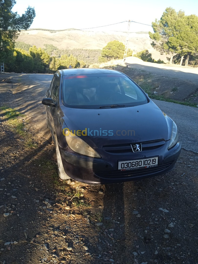 Peugeot 307 2002 307