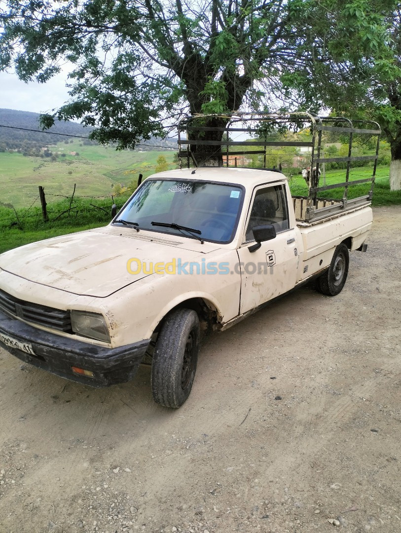 Peugeot 504 bachi 1998 504 bachi