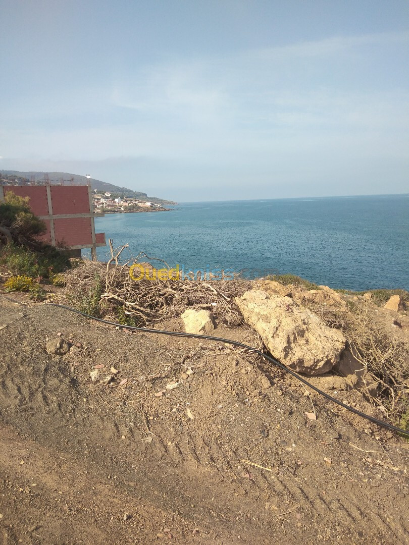 Vente Terrain Tipaza Larhat