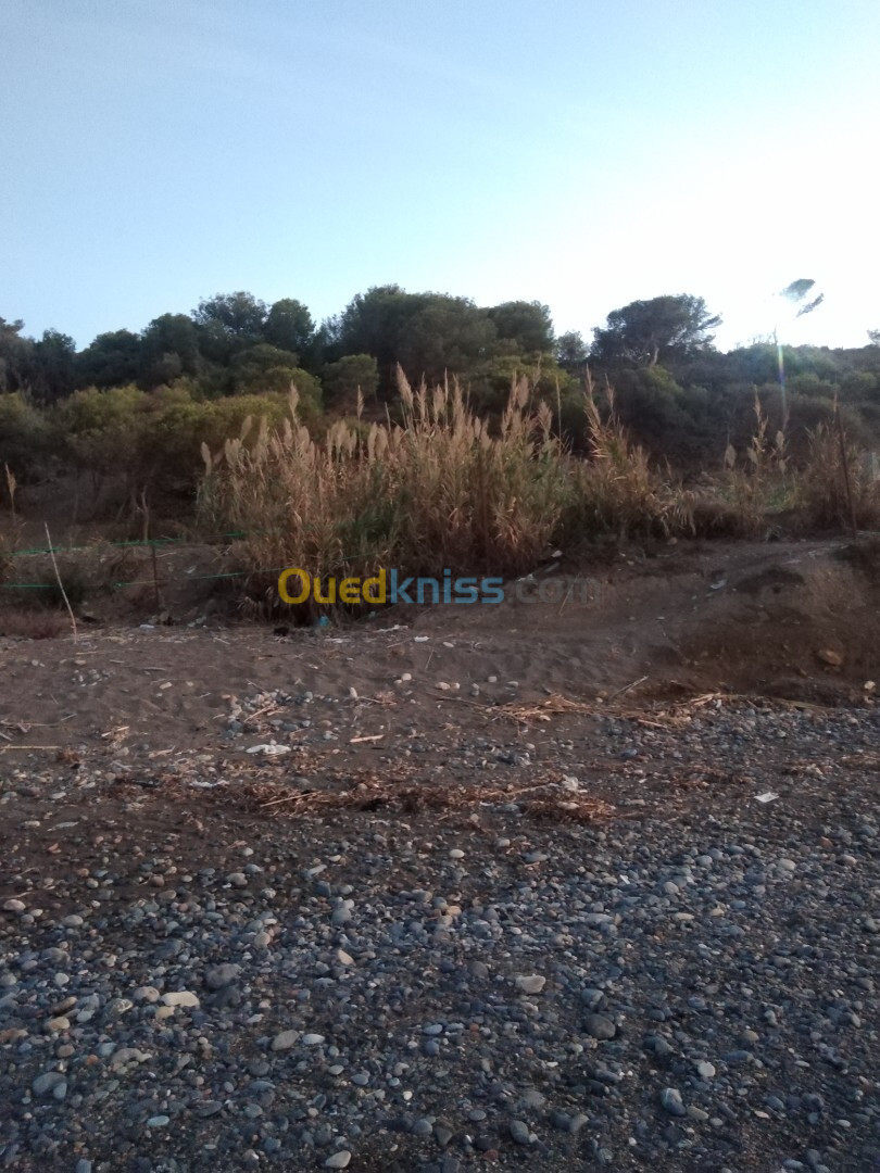 Vente Terrain Tipaza Larhat