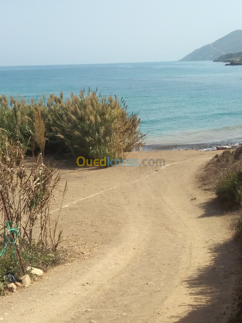 Vente Terrain Tipaza Larhat