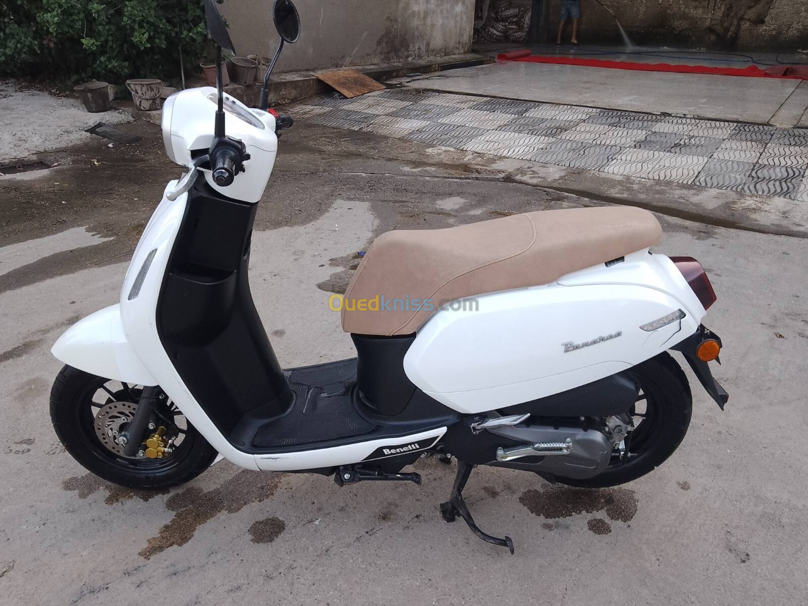 Benelli Panarea 2023