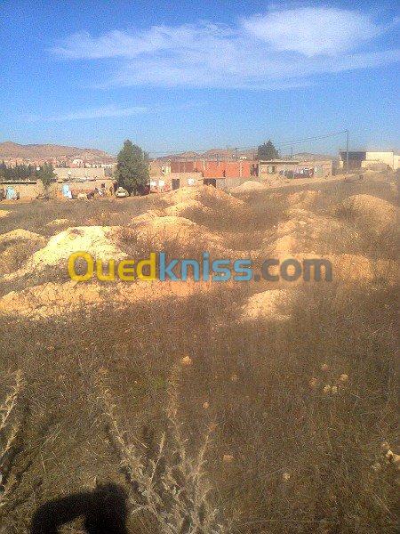 Vente Terrain Tlemcen Maghnia