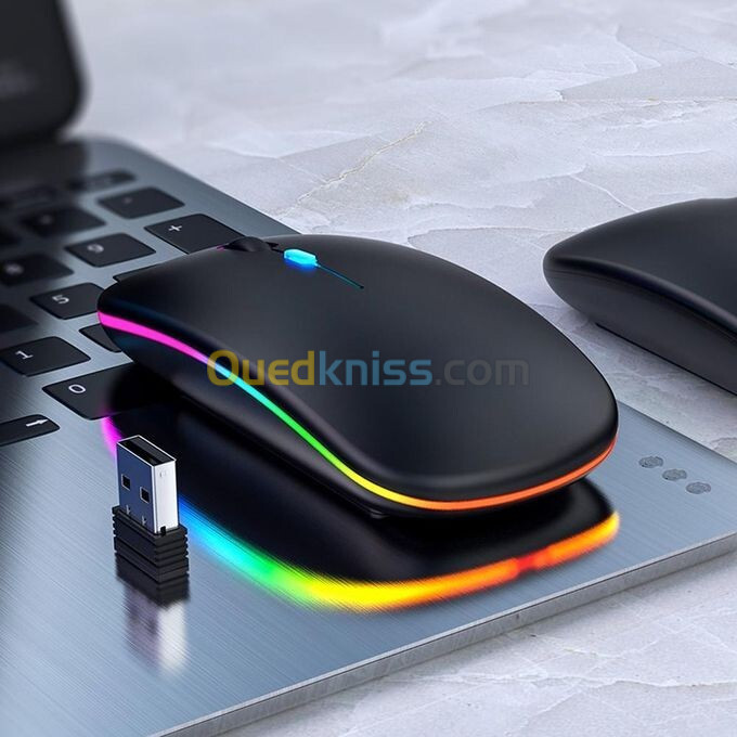 Souris Sans Fil Rechargeable LED W10 (HC)