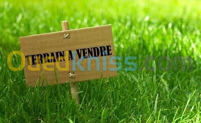 Vente Terrain Blida Bouinan