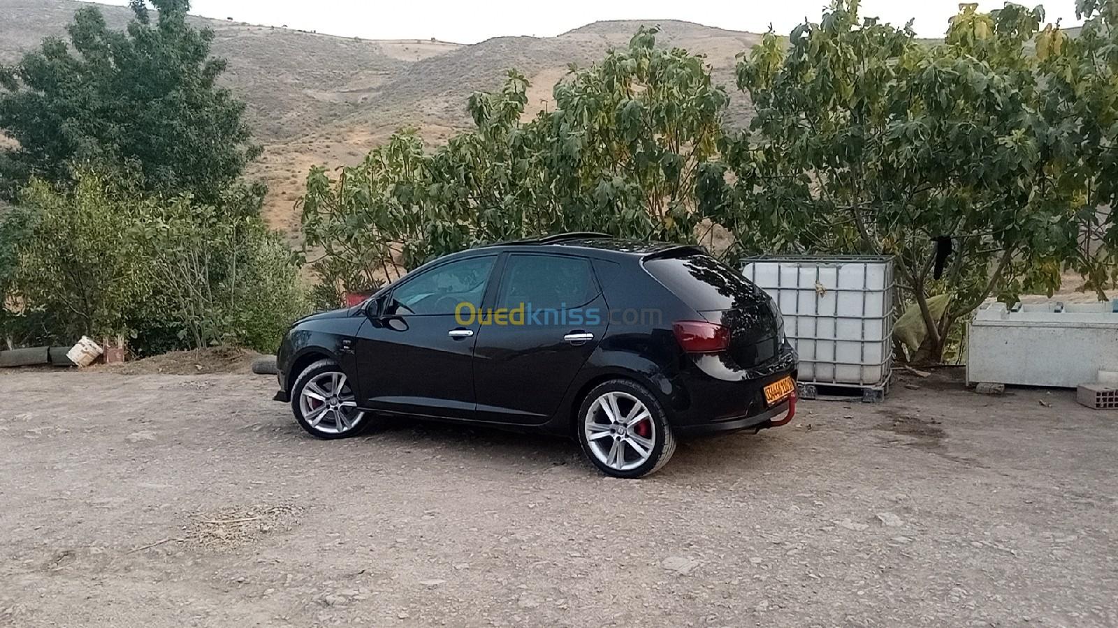 Seat Ibiza 2010 Ibiza