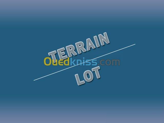 Vente Terrain Mostaganem Fornaka