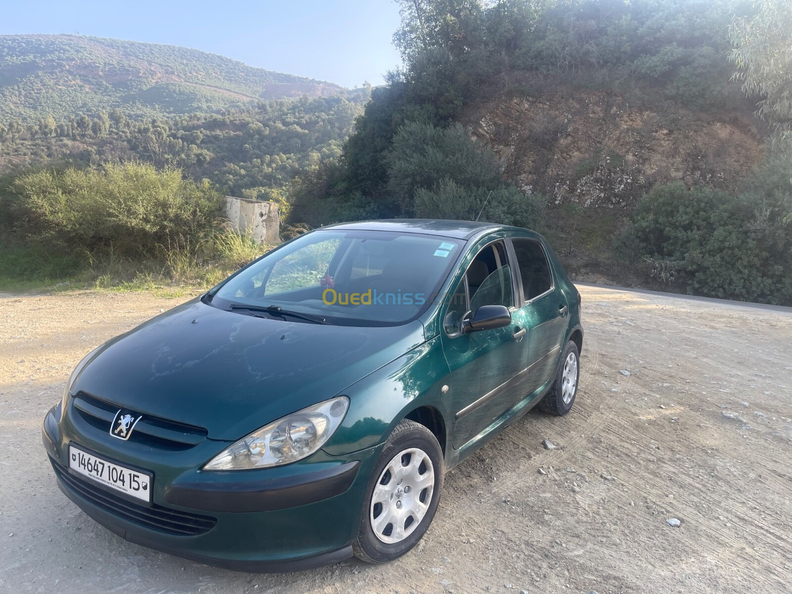 Peugeot 307 2004 307