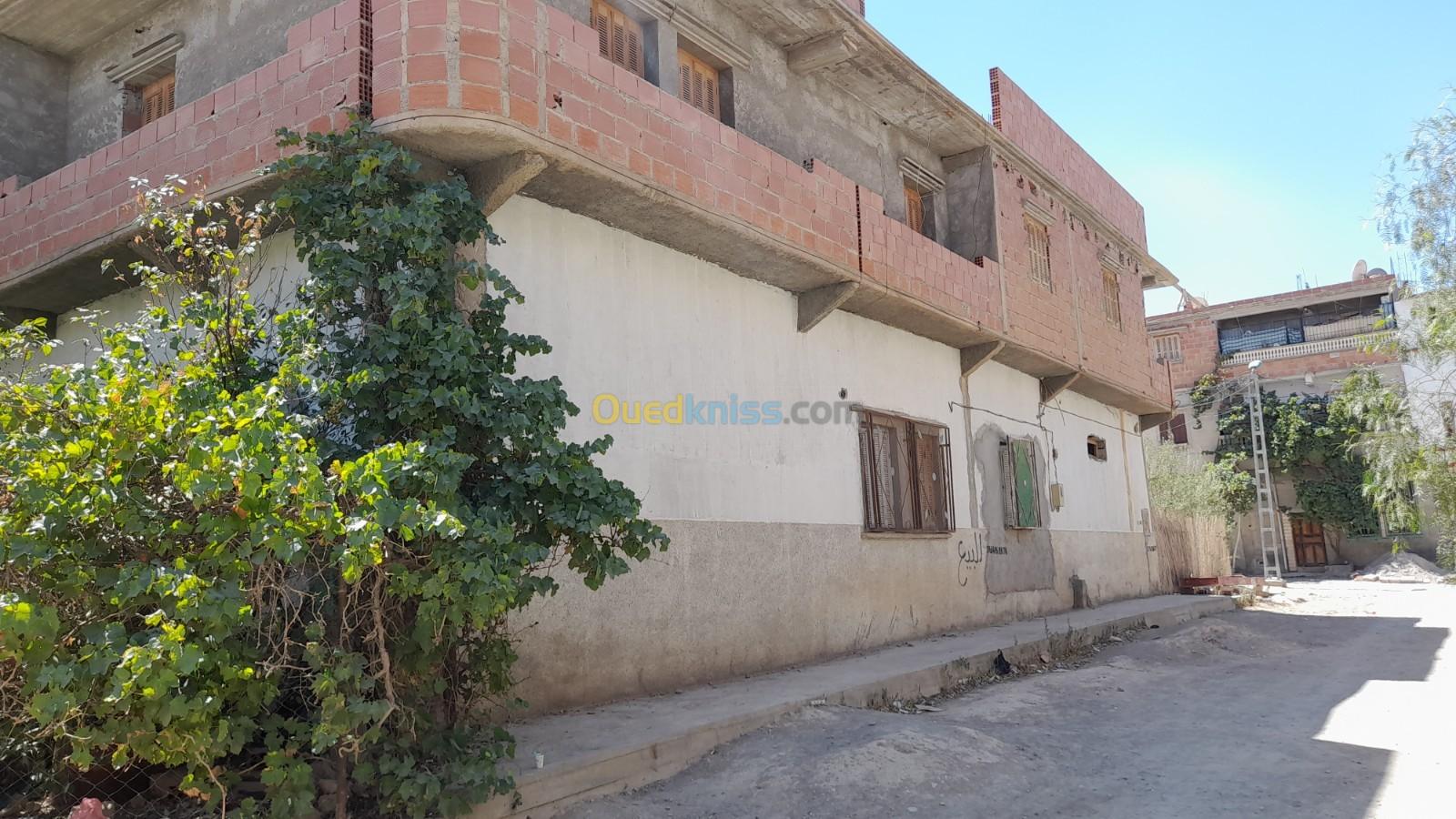 Vente bien immobilier Batna Ain touta