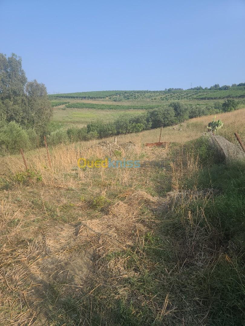 Vente Villa Boumerdès Chabet el ameur