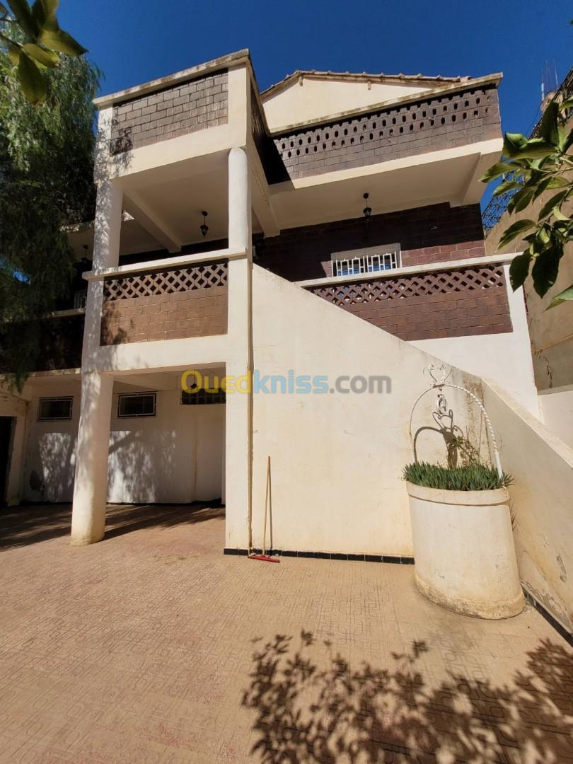 Vente Villa Aïn Defla Djendel